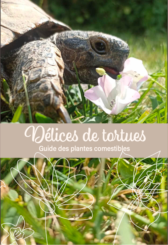 Livre "Délices de Tortues"