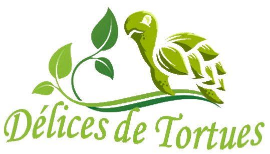 Délices de Tortues